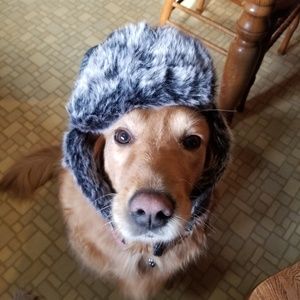 Meet your Posher, Sharon